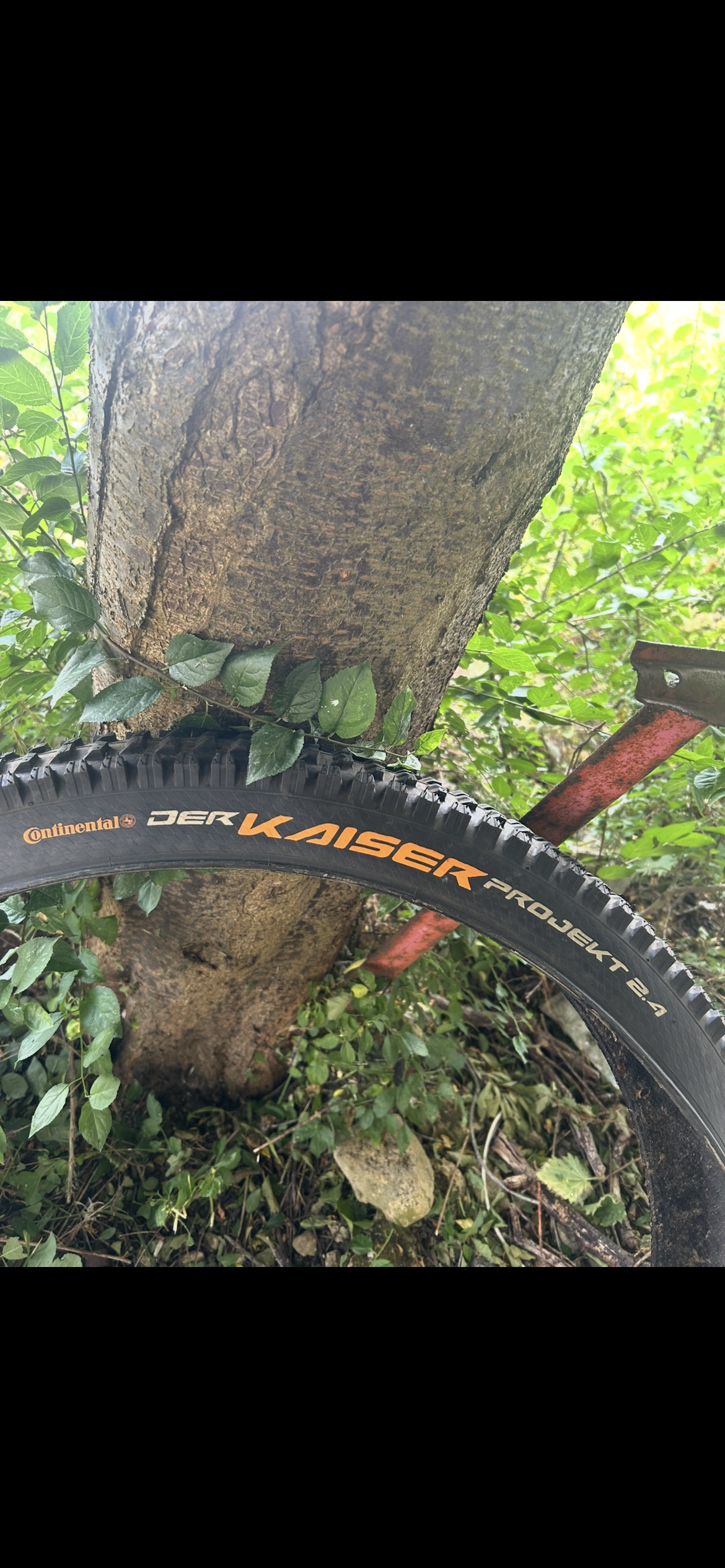 Continental kaiser projekt tyre