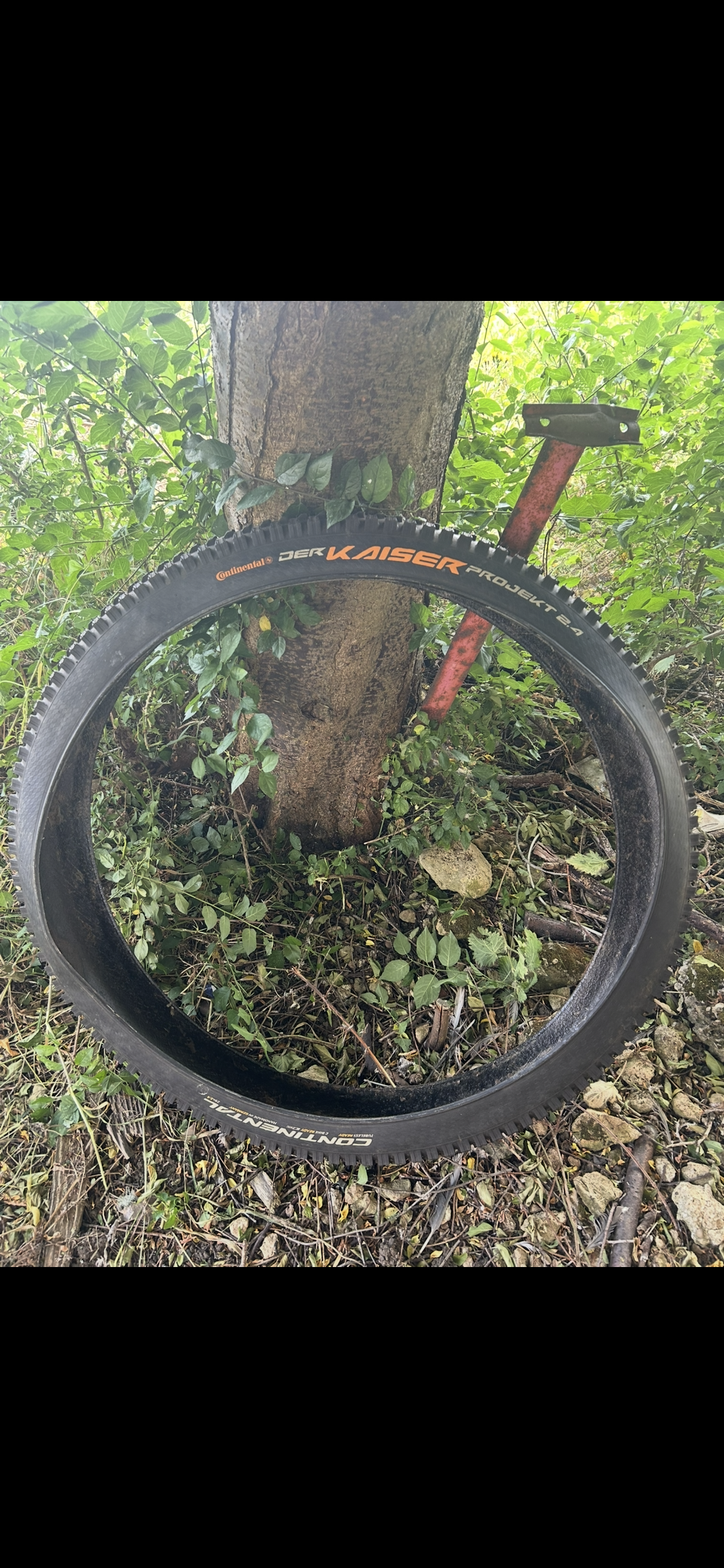 Continental kaiser projekt tyre