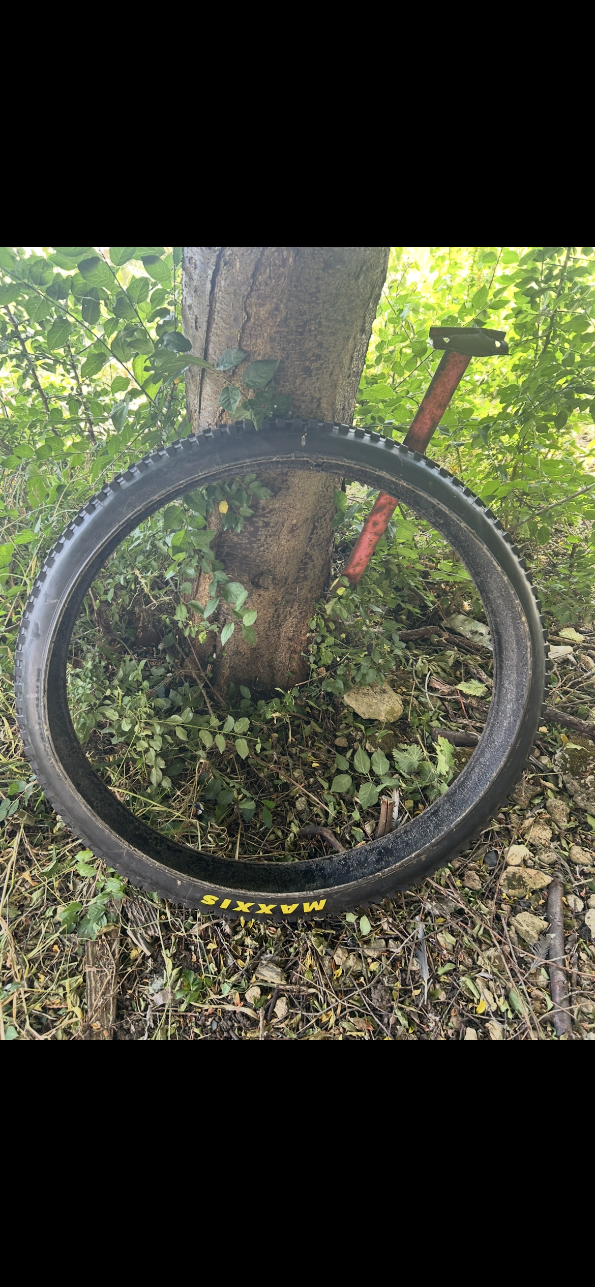 Maxxis minion