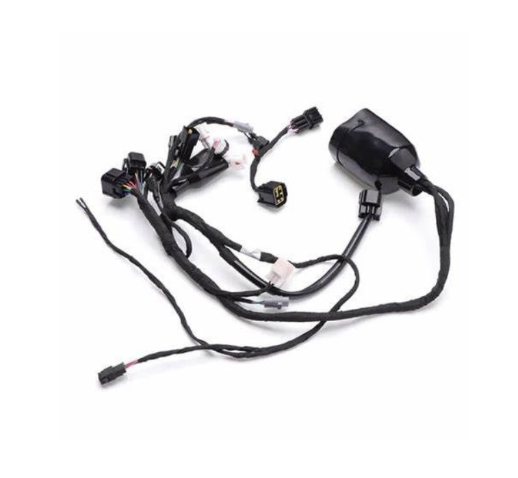 WIRING HARNESS MAIN L1E ROAD LEGAL SURRON LIGHT BEE X S SEGWAY X160 X260