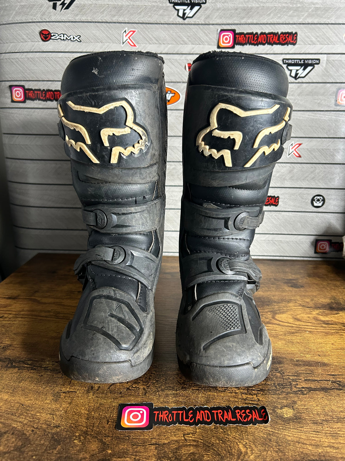 Fox comp uk3