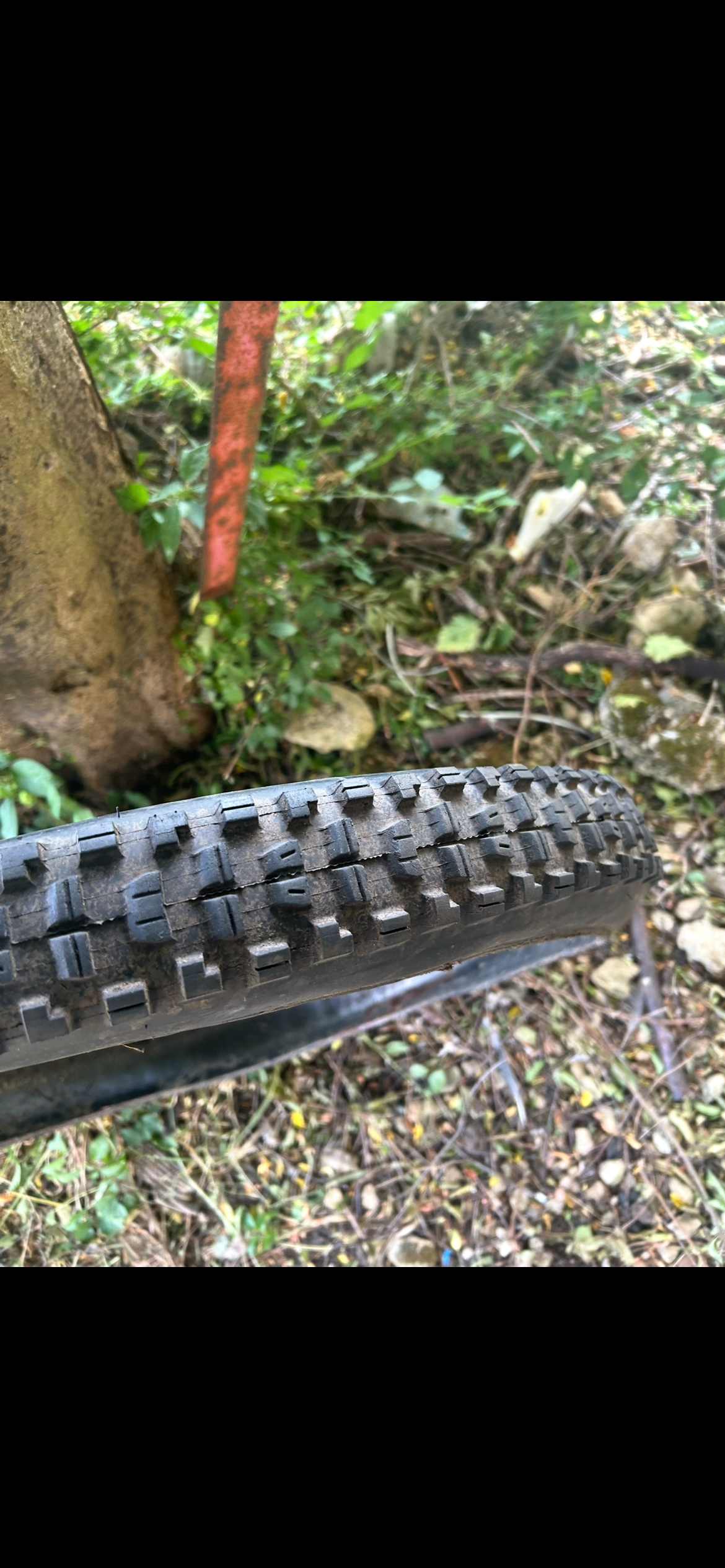 Maxxis minion dhr II