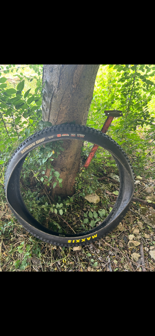 Maxxis minion