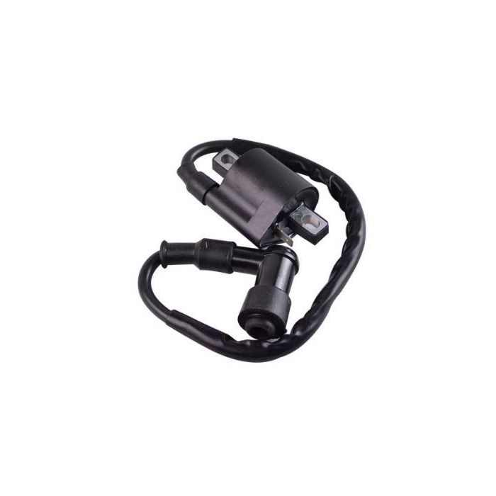 IGNITION COIL & CAP YAMAHA PW50 TT125 YFM 250 350 400 450 3KJ-82310-10-00 3FA-82310-00-00
