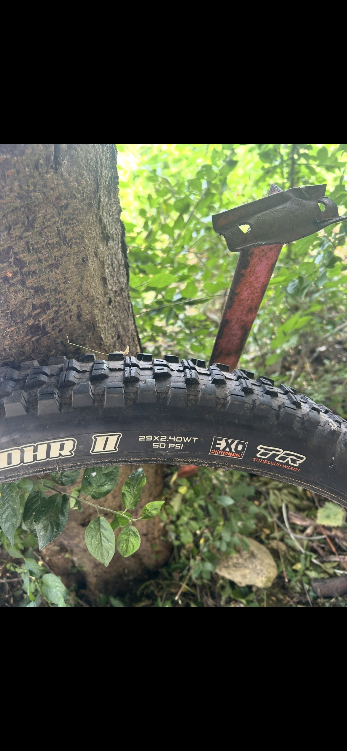 Maxxis minion dhr II