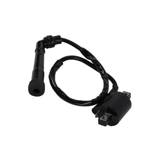 IGNITION COIL + CAP LONG YAMAHA BIG BEAR RAPTOR GRIZZLY 750169