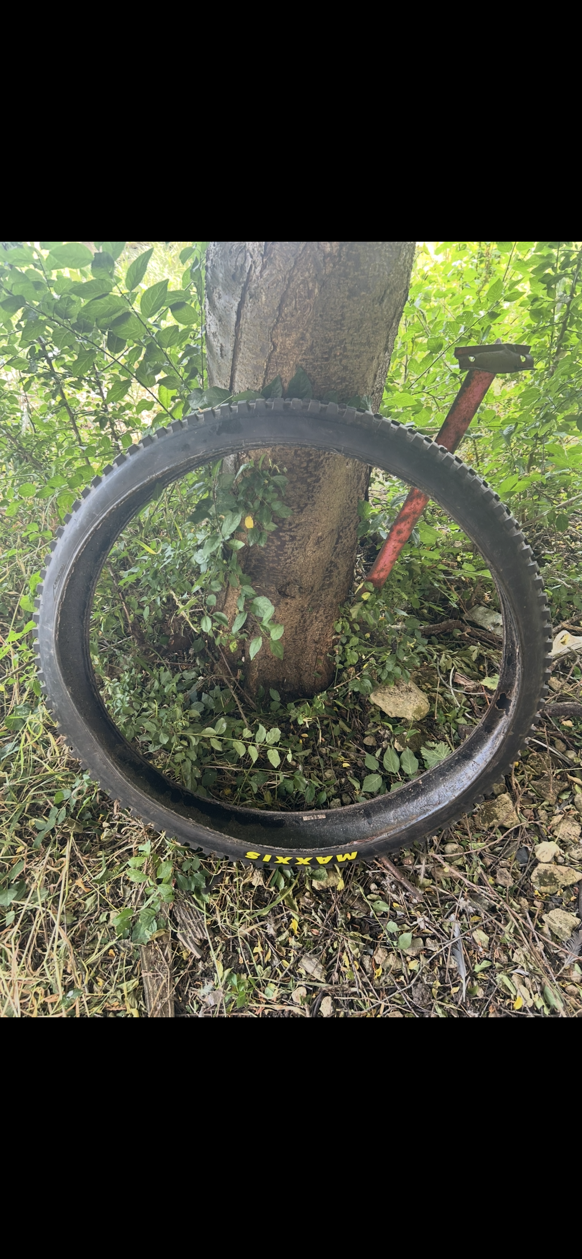 Maxxis minion dhr II