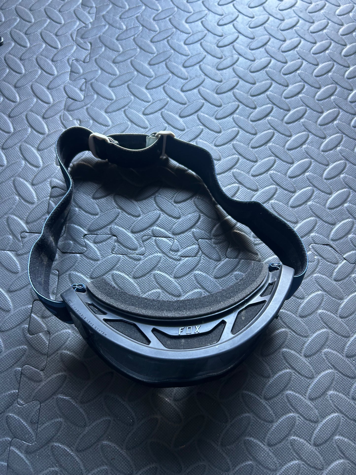 Fox goggles